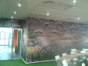 website 15